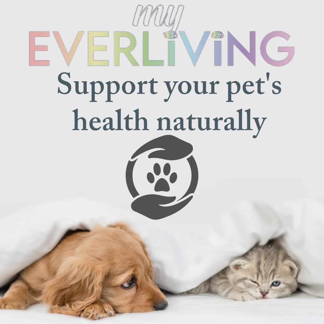 Unlocking Nature’s Power for Your Pets: Why use Functional Mushrooms & Shilajit for your pets