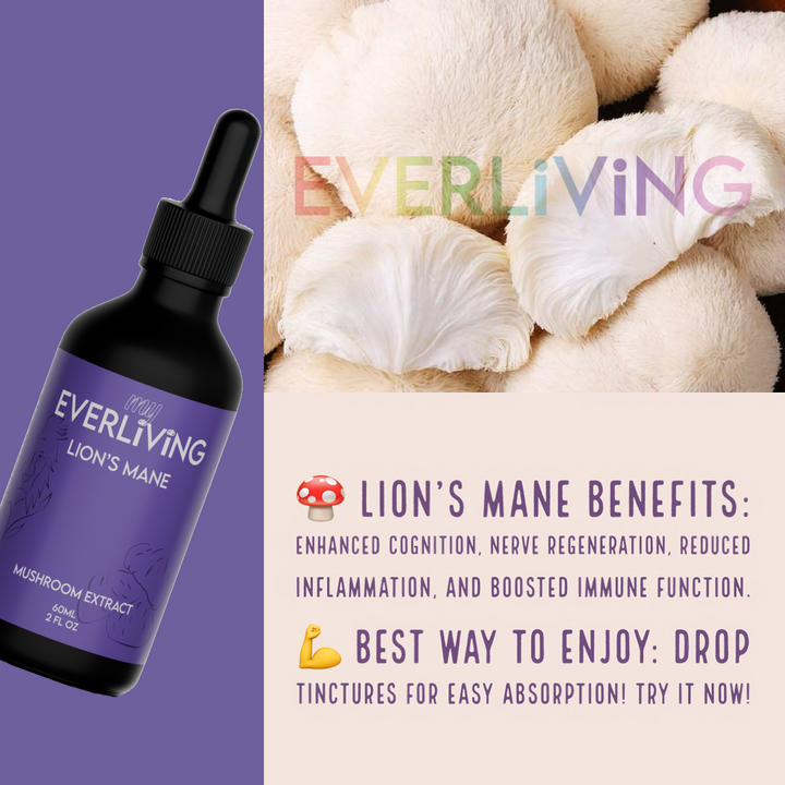 Lions Mane Mushroom Extract 60ML (2 FL OZ)